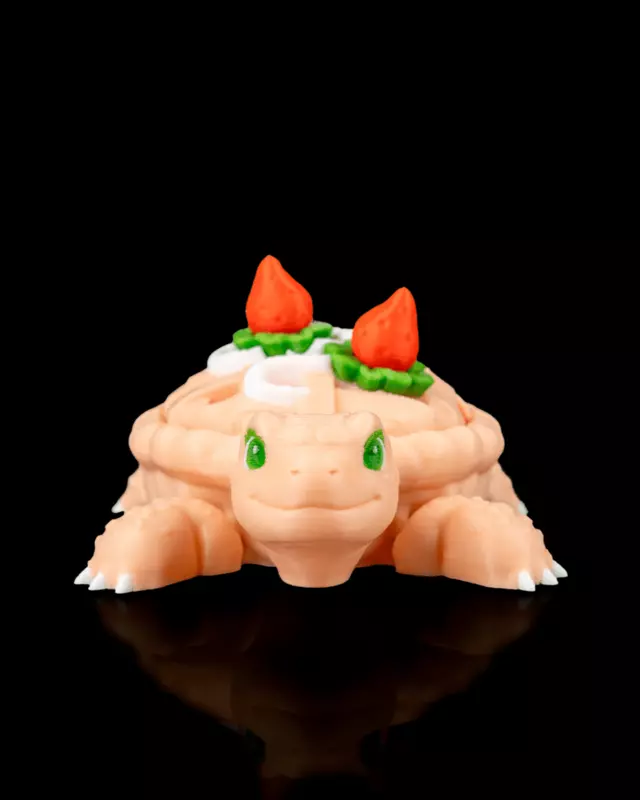 TurtleBerry Pie 3D Toy