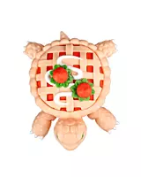 TurtleBerry Pie 3D Toy