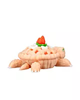 TurtleBerry Pie 3D Toy