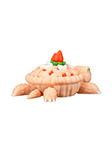 TurtleBerry Pie 3D Toy