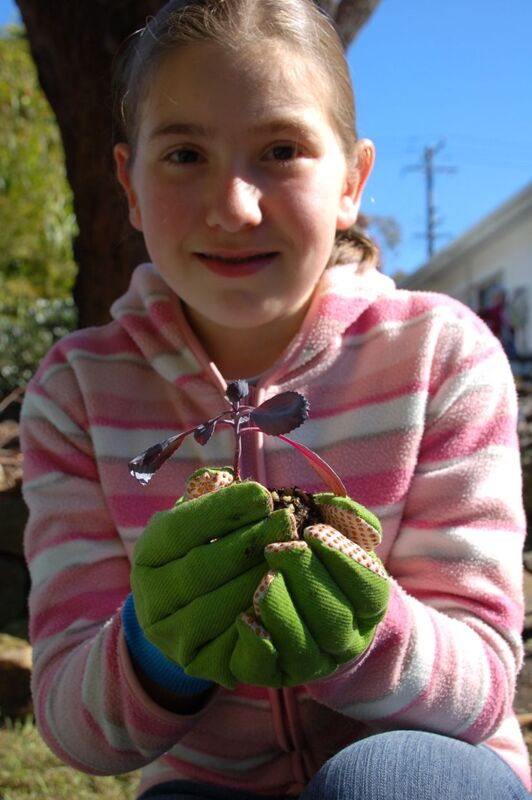 Twigz Gardening Gloves