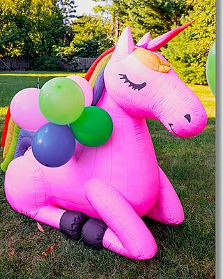 Enchanted kingdom Unicorn