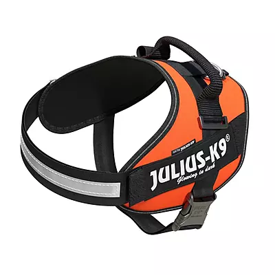 IDC High Visibility Powerharness UV Orange, Size 2 IDC High Visibility Powerharness UV Orange, Size 2