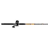 Shakespeare Ugly Stik Bigwater Rival Level Wind Combo Shakespeare Ugly Stik Bigwater Rival Level Wind Combo