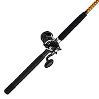 Shakespeare Ugly Stik Bigwater Rival Level Wind Combo Shakespeare Ugly Stik Bigwater Rival Level Wind Combo
