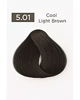 Natural cool ash hair dye shade swatch with neutral gray undertones – professional salon color
