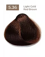 Gold Red Easy Tech Versum for professional gold red hair color and gray coverage