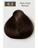 Gold Easy Tech Versum for professional gold hair color and gray coverage