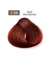 Gold Red Easy Tech Versum for professional gold red hair color and gray coverage