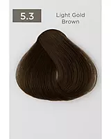Gold Easy Tech Versum for professional gold hair color and gray coverage