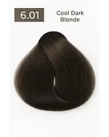 Natural cool ash hair dye shade swatch with neutral gray undertones – professional salon color
