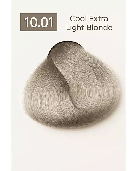 Natural cool ash hair dye shade swatch with neutral gray undertones – professional salon color