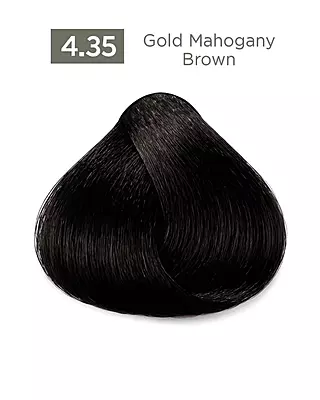Gold Mahogany Easy Tech Versum for professional gold mahogany hair color and gray coverage