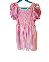 Pink Princess Dress