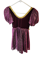 Burgundy Princess Dress