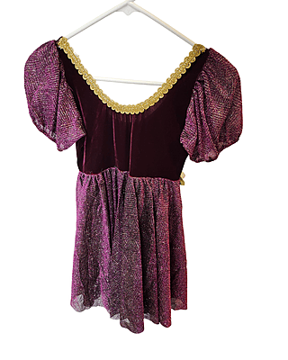 Burgundy Princess Dress