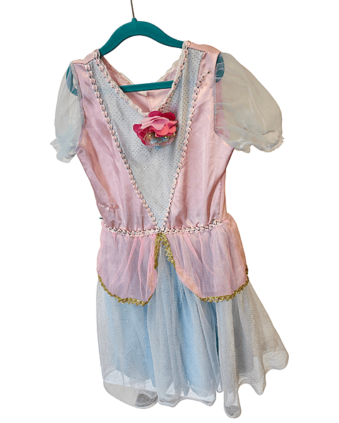 Pink and Blue Dress