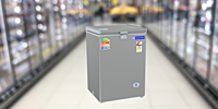 Suitable for Super Market: Blue Star Small Deep freezer-CF3-130NPYW-SL