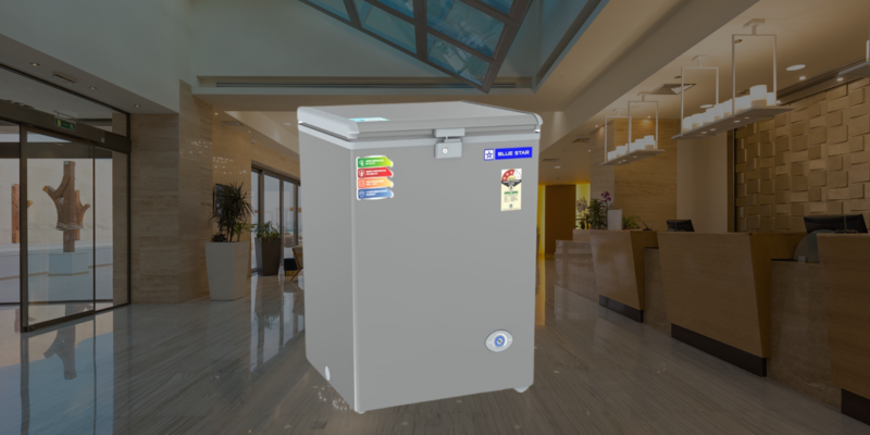 Suitable for Restaurant: Blue Star Hard Top Deep freezer-CF3-130NPYW-SL