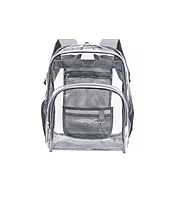 Gray Transparent Backpack