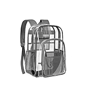 Gray Transparent Backpack