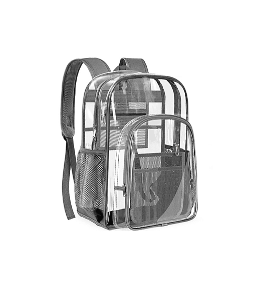 Gray Transparent Backpack