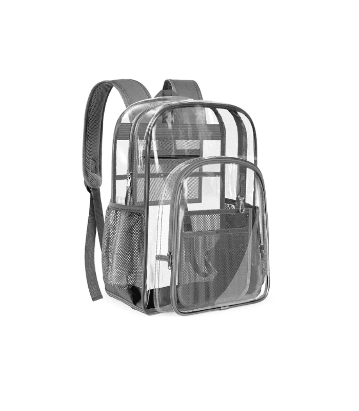 Gray Transparent Backpack