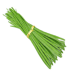 Drumstick-Moringa