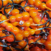 Big Sky Flies & Jigs - Gruesome Grub Big Sky Flies & Jigs - Gruesome Grub