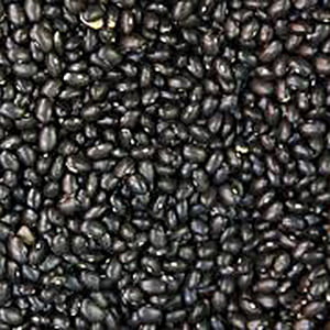 PUL41001: Urad Whole [Black Mapte] 10 lb