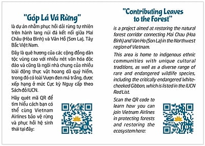 Vượn Má Trắng ( Vietnam Airlines) Vượn Má Trắng ( Vietnam Airlines)