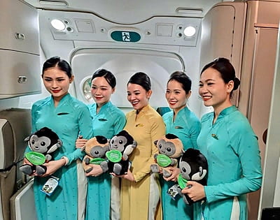 Vượn Má Trắng ( Vietnam Airlines) Vượn Má Trắng ( Vietnam Airlines)