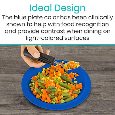 Spill Proof Scoop Plate (2 Pack)