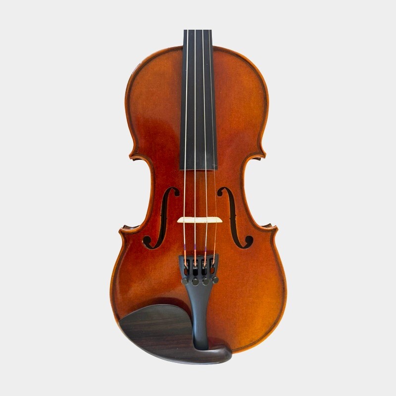 Violin 1/2 Andante model