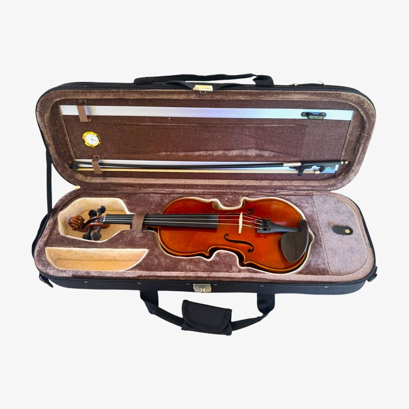 Violin 1/2 Andante model