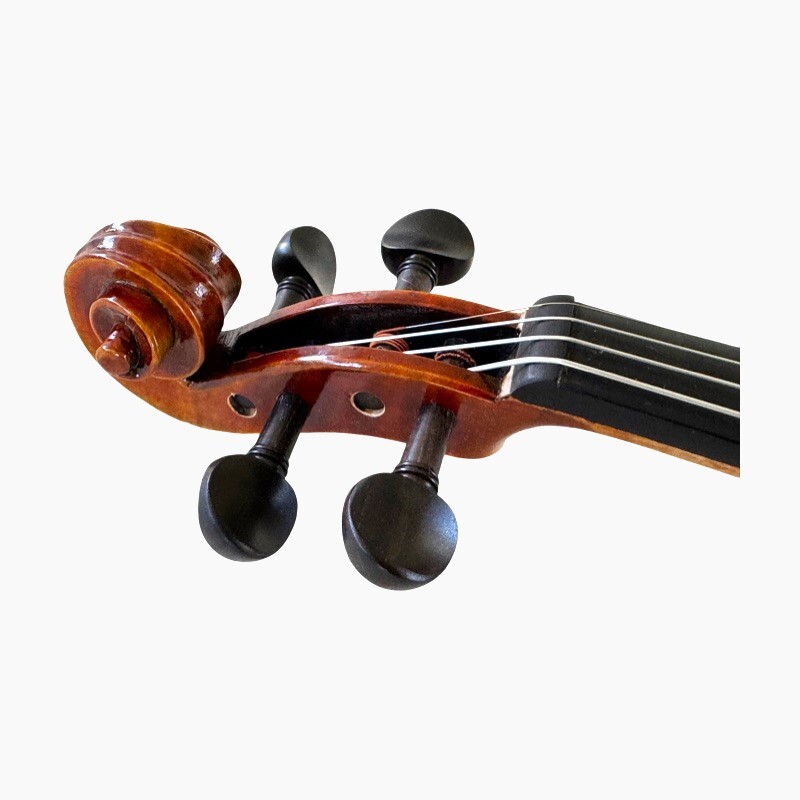 Violin 1/2 Andante model