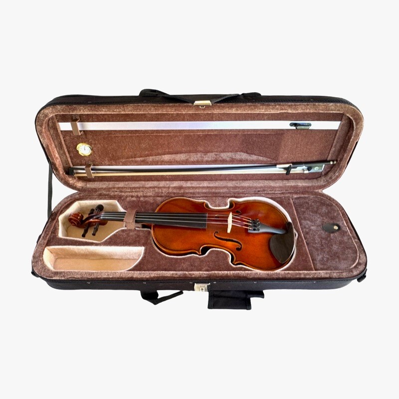 Violin 3/4 Andante model
