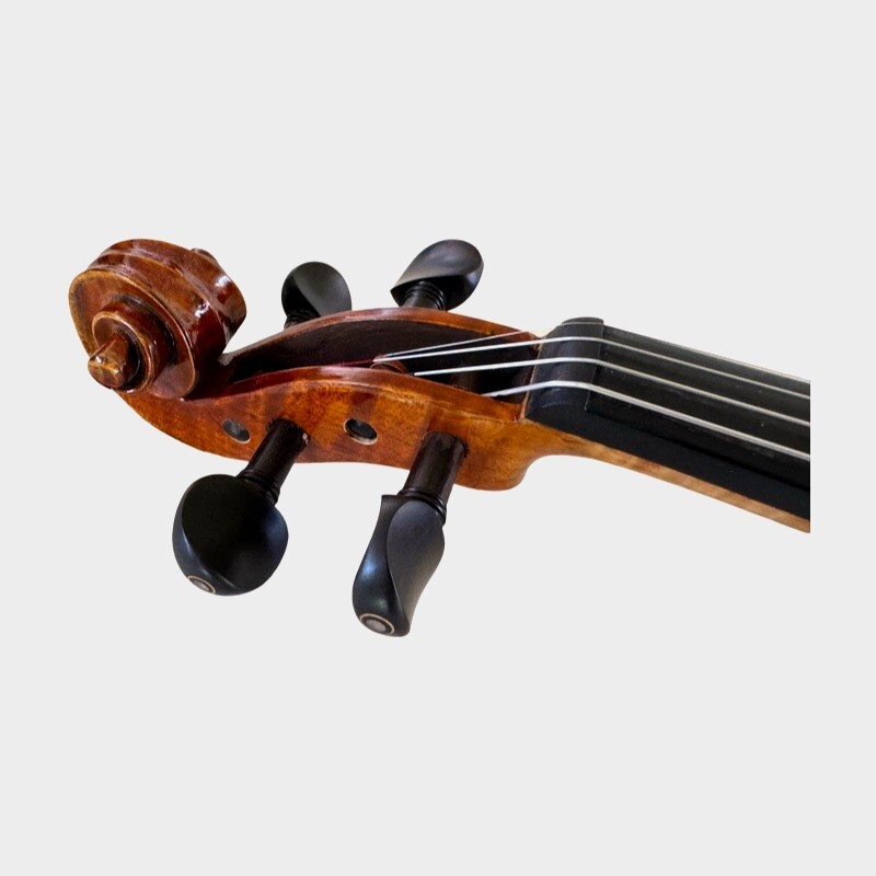 Violin 4/4 Allegro model