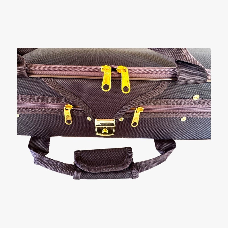 Violin 4/4 Allegro model