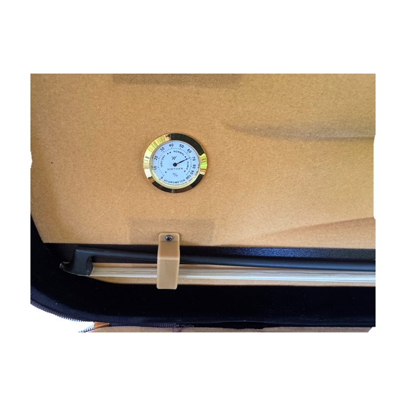 Violin 4/4 Allegro model