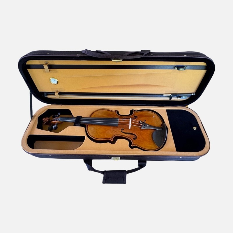 Violin 4/4 Allegro model