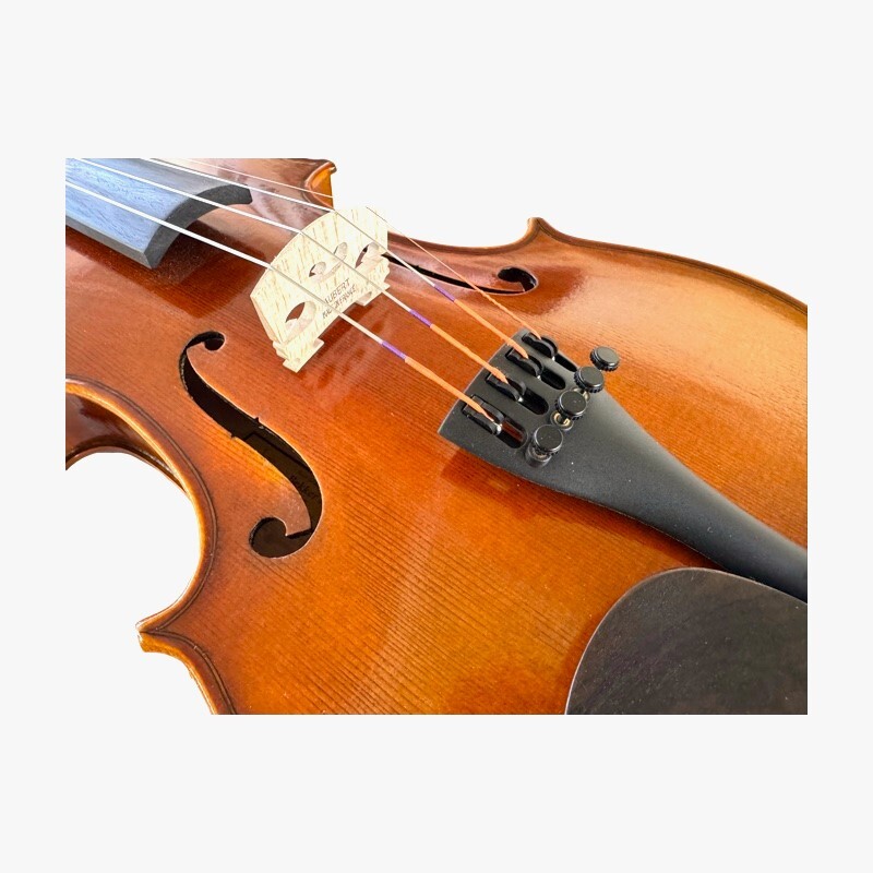 Violin 4/4 Andante model