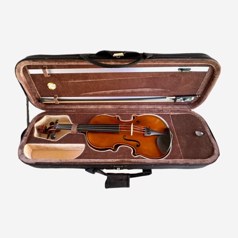 Violin 4/4 Andante model