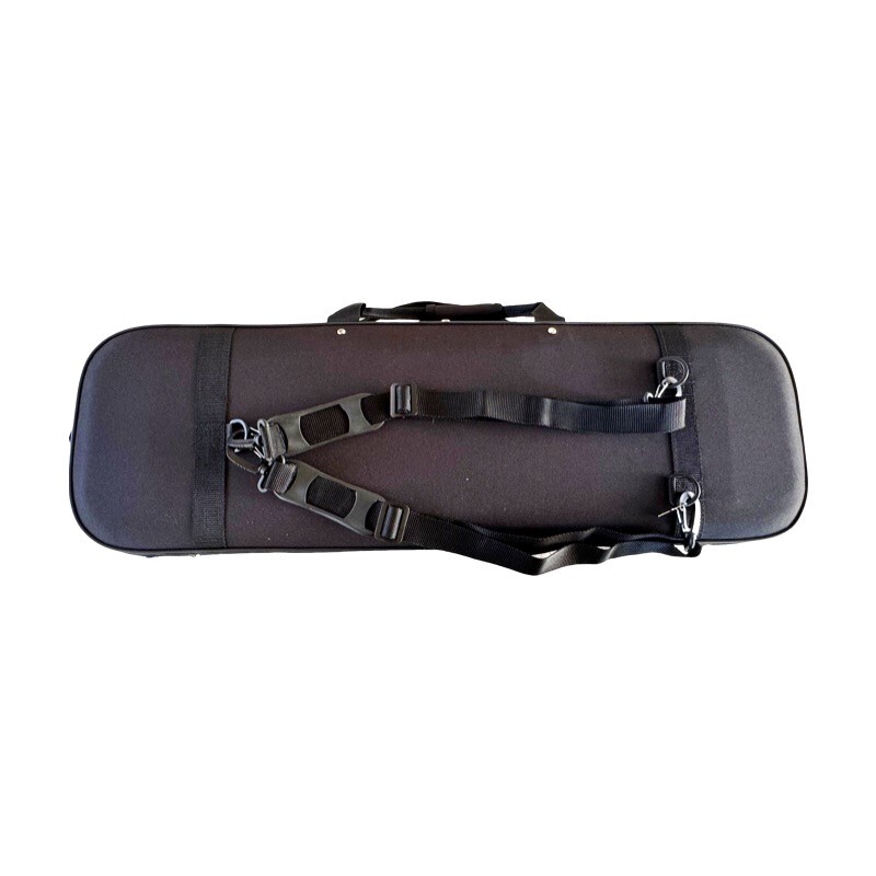 Violin 4/4 Andante model