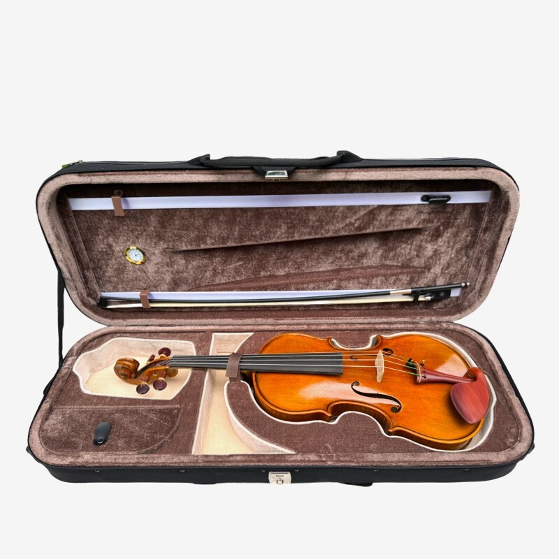 Viola 4/4 Allegro model