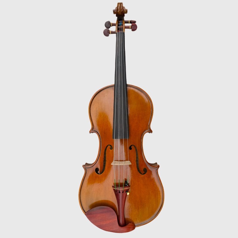 Viola 4/4 Allegro model