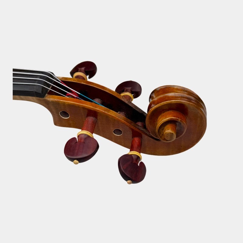 Viola 4/4 Allegro model