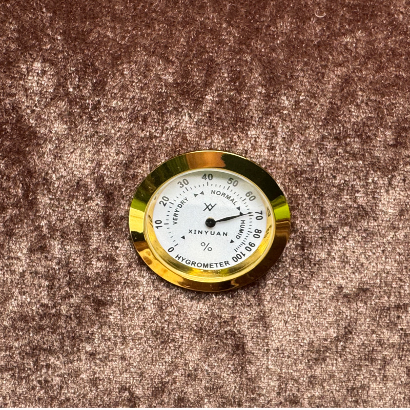 Viola 4/4 Allegro model