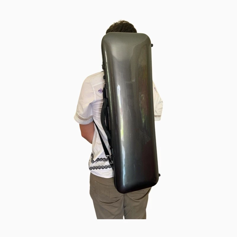Violin Case, 4/4 Hard