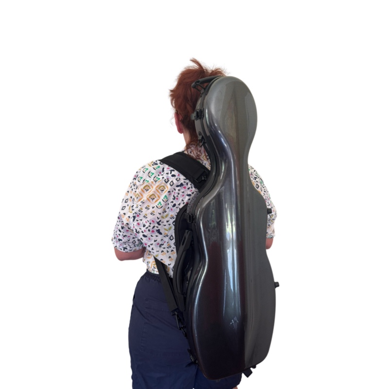 Violin Case, 4/4 Size, Shaped, Professional Quality